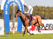 "Zimní favorit" Sagar vstupuje do sezóny
