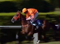 Wroblewski se Santo Cerro do Auteuil
