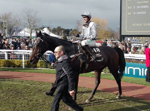 Gold Cup vrcholem Cheltenham festivalu. Představujeme jeho účastníky