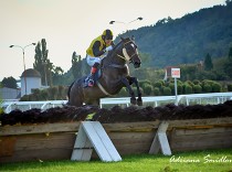 Sternkranz a Lord Dragon v hlavní události dnešních dostihů v Pau