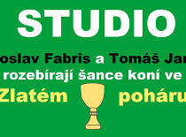 Studio Zlatý pohár