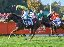 Hrdina Velké pardubické Talent vstupuje do sezóny