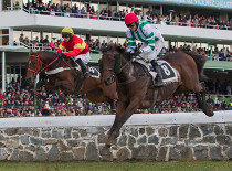Theophilos obhajuje Prvomájovou steeplechase - rozbor dostihu