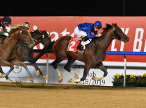 Dubai World Cup nebude, Británie bez dostihů, Irsko to zkouší bez diváků