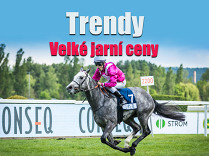 Velká jarní cena – trendy posledních 10 ročníků