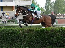 Pardubice čeká další kvalifikace, Tiumen zůstává doma