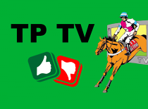 TP TV: Hvězdy King George VI Chase posledních let