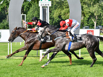 Turf Gala (rozbory + hlasy trenérů)