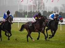 Westminster nabízí dvouleté, tříletí s novými cenami